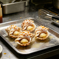 Spotted Sea Snails: Savory Gourmet Delight